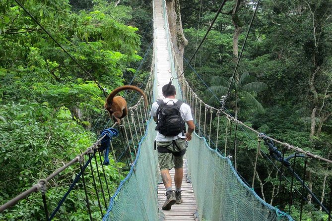 2 Days 1 Night – Peruvian Tambopata Jungle - Wildlife Experience