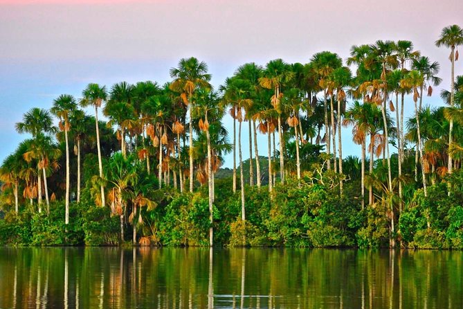 2 Days 1 Night – Peruvian Tambopata Jungle - Meeting and Pickup Details