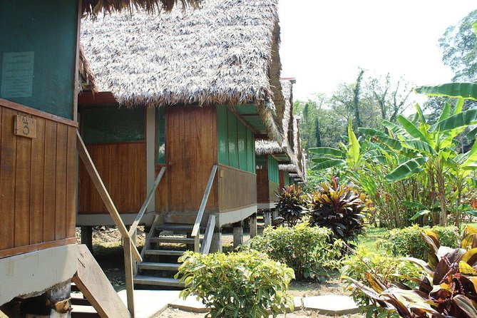 2 Days 1 Night – Peruvian Tambopata Jungle - Accommodation at the Lodge