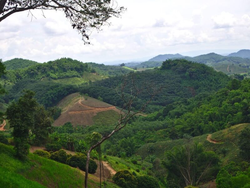 2 Days 1 Night Private Eco-Trekking Akha & Lahu Chiang Rai - Inclusions