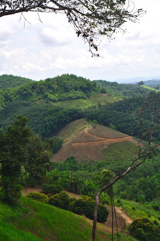 2 Days 1 Night Private Eco-Trekking Akha & Lahu Chiang Rai - Exclusions