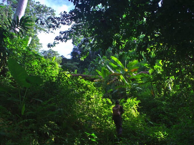2 Days 1 Night Private Eco-Trekking Akha & Lahu Chiang Rai - Cancellation Policy