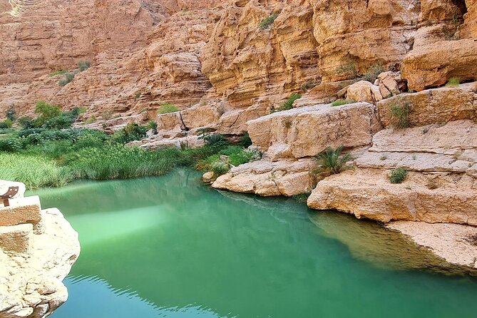 2-Days 1 Night Private Ras Al Hadd Tour - Traveler Reviews