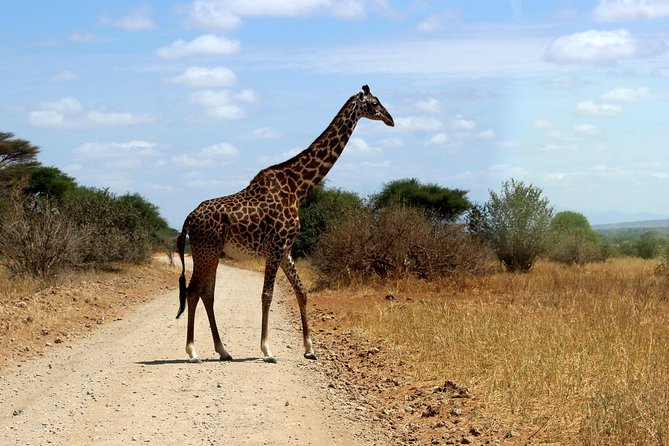 2 Days /1 Night Safari to Mikumi - Booking Information
