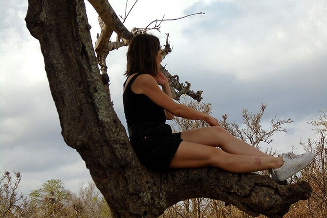 2 Days /1 Night Safari to Mikumi - Highlights of Mikumi National Park
