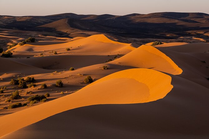 2 Days/1 Night Sahara Desert Trip: Fes - Merzouga - Fes - Recommendations and Considerations