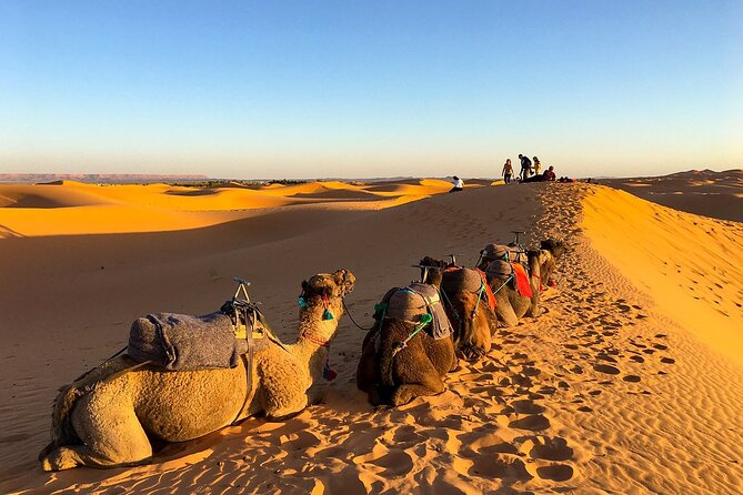2 Days/1 Night Sahara Desert Trip: Fes - Merzouga - Marrakech - Meeting Details