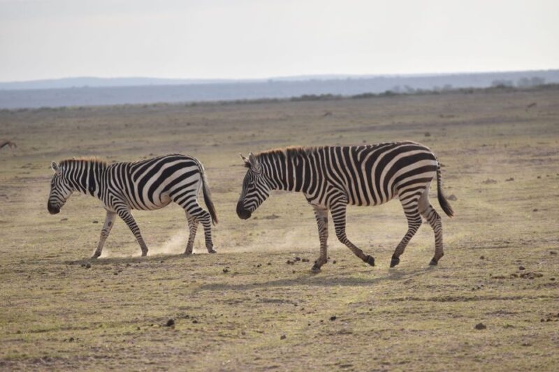 2 Days 1 Night Taita Hills - Key Points
