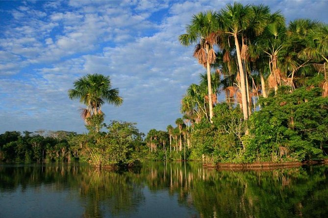 2 Days 1 Night - Tambopata Jungle - Included Experiences