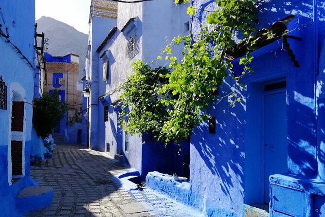 2 Days / 1 Night to Rabat and Chefchaouen From Casablanca - Key Points