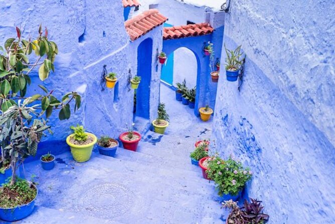 2 Days / 1 Night to Rabat and Chefchaouen From Casablanca - Tour Ratings and Reviews
