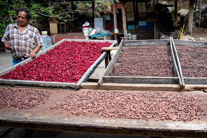 2 Days/1 Night Tour: Be Immersed in a Cocoa Farm in the Jungle of Cusco - Key Points