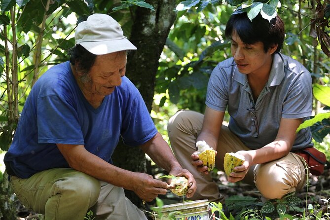 2 Days/1 Night Tour: Be Immersed in a Cocoa Farm in the Jungle of Cusco - Explore the Scenic Viewpoints