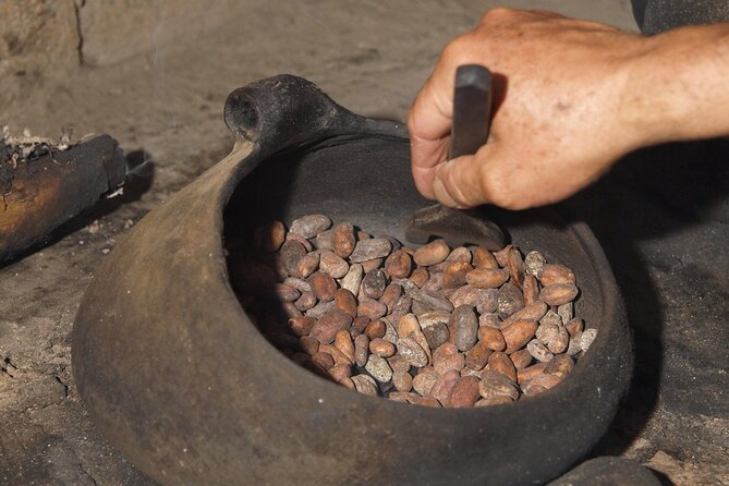 2 Days/1 Night Tour: Be Immersed in a Cocoa Farm in the Jungle of Cusco - Immerse in the Jungle Experience