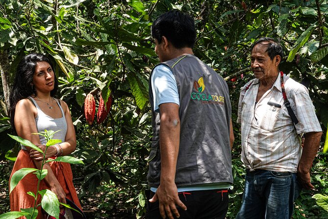 2 Days/1 Night Tour: Be Immersed in a Cocoa Farm in the Jungle of Cusco - Pickup and Accessibility Details