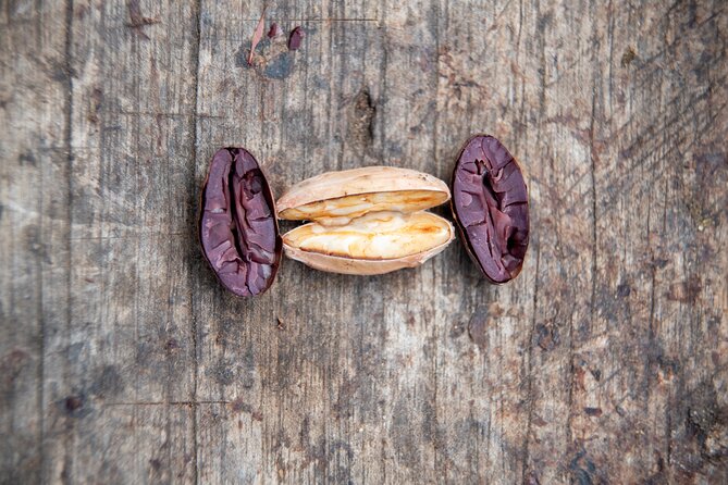 2 Days/1 Night Tour: Be Immersed in a Cocoa Farm in the Jungle of Cusco - Participant Guidelines and Requirements