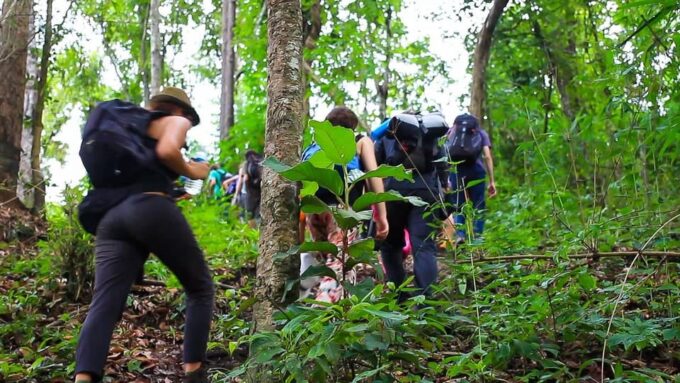 2 Days 1 Night: Trekking With Karen People and Doi Inthanon - Discovering Wachirathan Waterfall