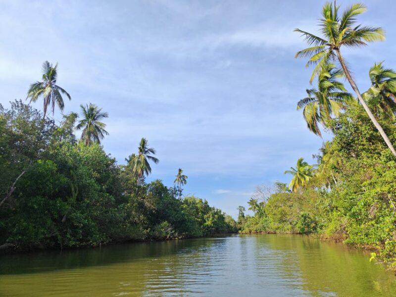 2 Days 1 Nights Ming Greenage Suite + Bongawan Shared Tour - Accommodation Details