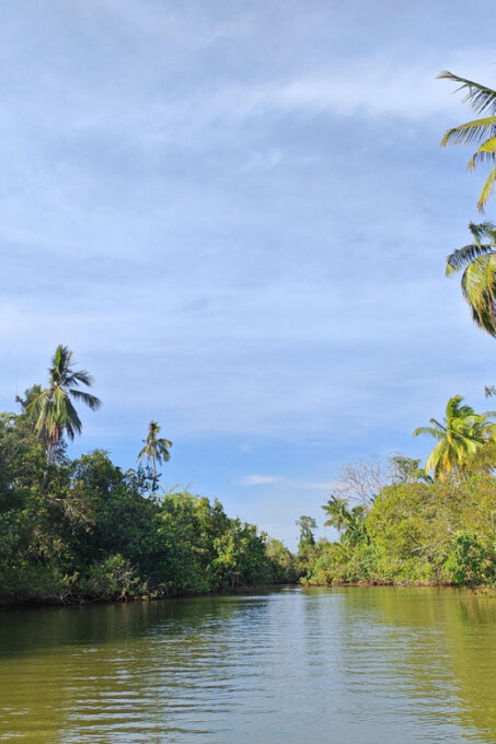 2 Days 1 Nights Ming Greenage Suite + Bongawan Shared Tour - Restrictions