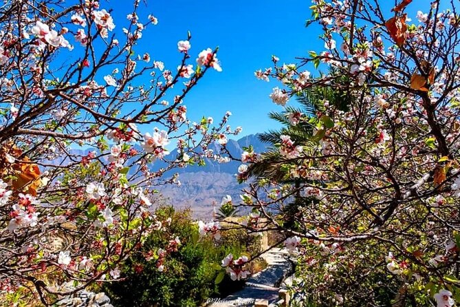 2 Days 1 Nights Private Trip to Wakan - Inclusions