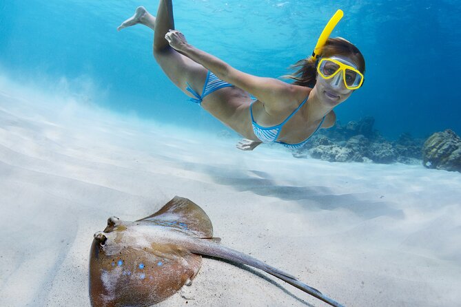 2 Days/1n Trip - Snorkeling With Manta Rays in Lembongan/Penida (All Included) - Key Points