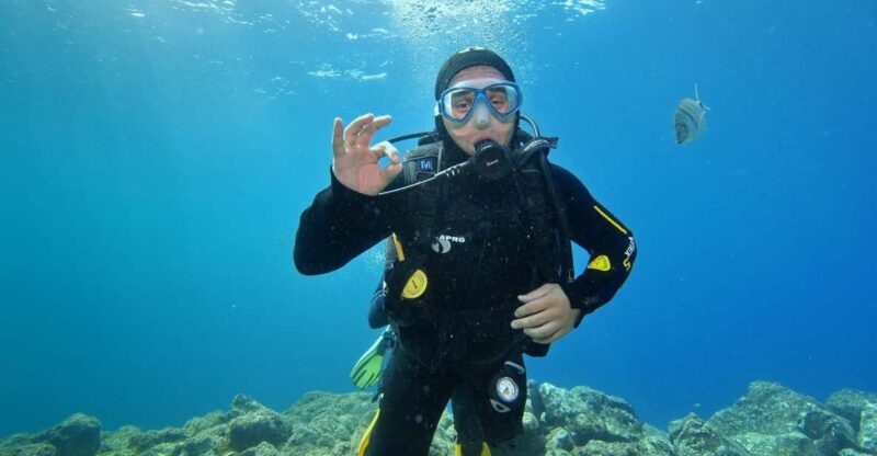 2 DAYS - 3 DIVES - Diving Experience