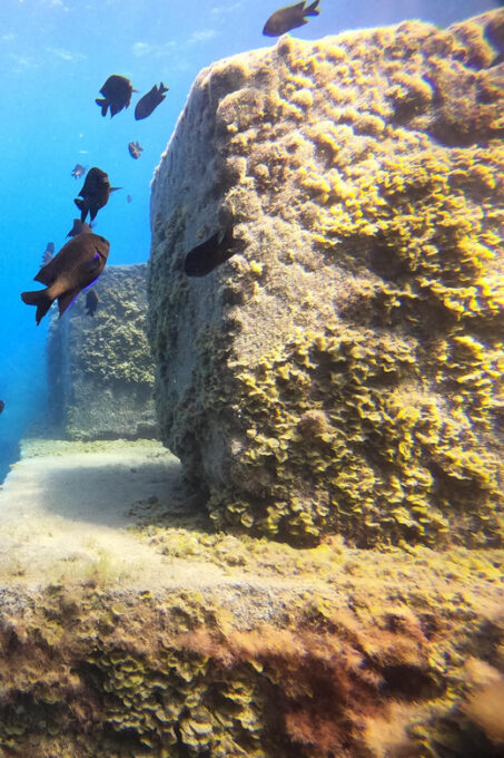 2 DAYS - 3 DIVES - Frequently Asked Questions
