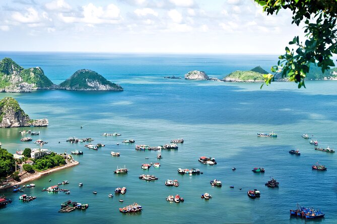 2 Days Adventure Cruise in Ha Long Bay - Confirmation and Accessibility