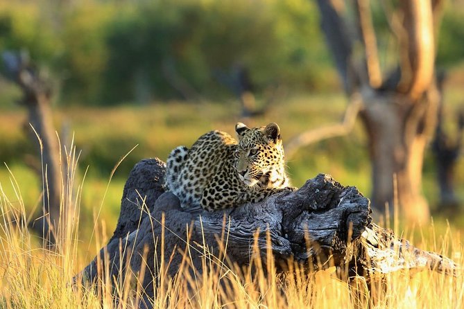 2 Days Amboseli National Park Safari - About Your Stay