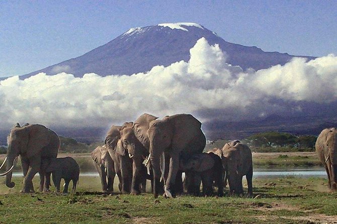 2 Days Amboseli National Park Safari- Guarantee Daily Departure - Key Points