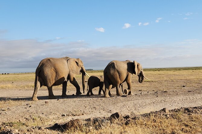 2 Days Amboseli Park Overnight Private Safari - Inclusions
