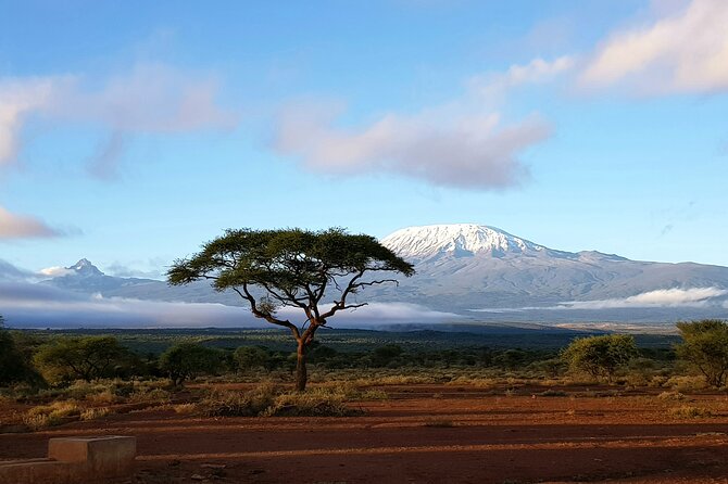 2 Days Amboseli Park Overnight Private Safari - Tour Guide Expertise