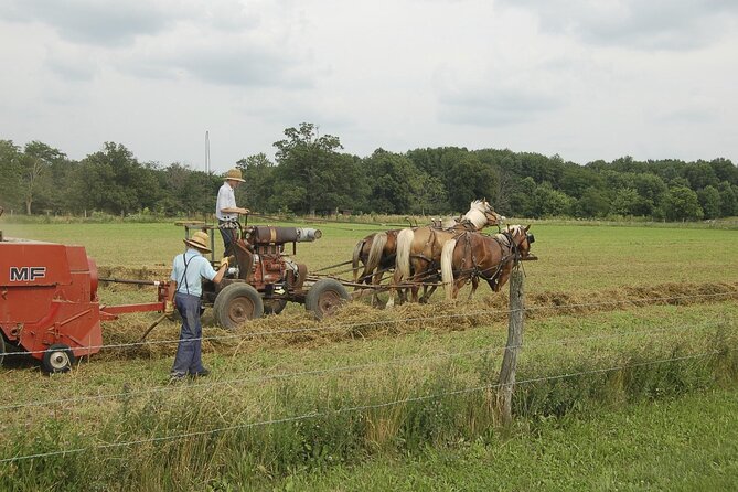 2 Days Amish Country and Washington DC - Tour Highlights