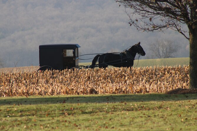 2 Days Amish Country and Washington DC - Traveler Reviews
