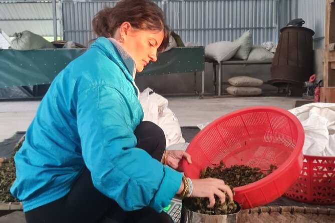 2 Days Ancient Tea Tour and Real Homestay West of Ha Giang - Practical Information and Booking Process