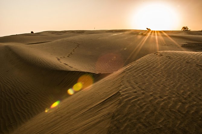 2 Days and 1 Night Camel Safari - Guided Nature of the Tour