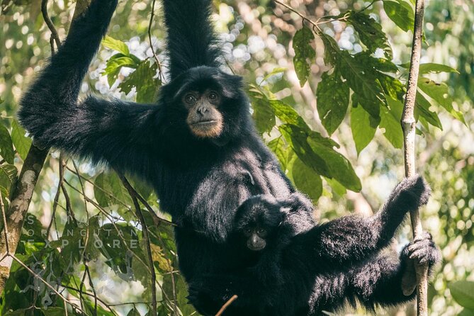 2 Days and 1 Night Ethical Jungle Trek - What to Bring