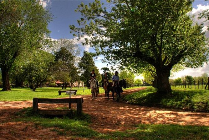 2-Days and 1 Night in Areco - Key Points