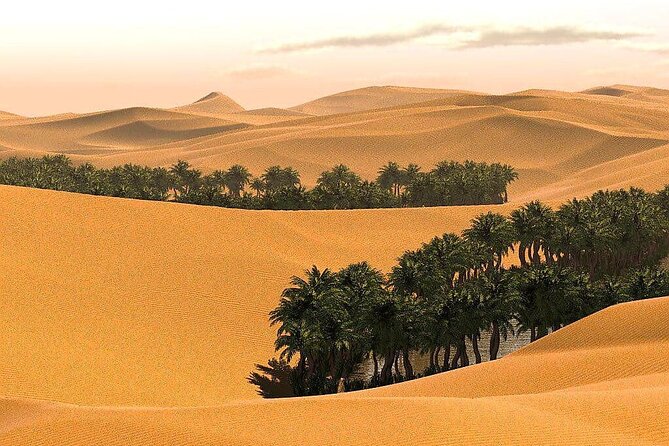 2 Days and 1 Night Private Wahiba Sands Desert Tour - Cancellation Policy and Changes