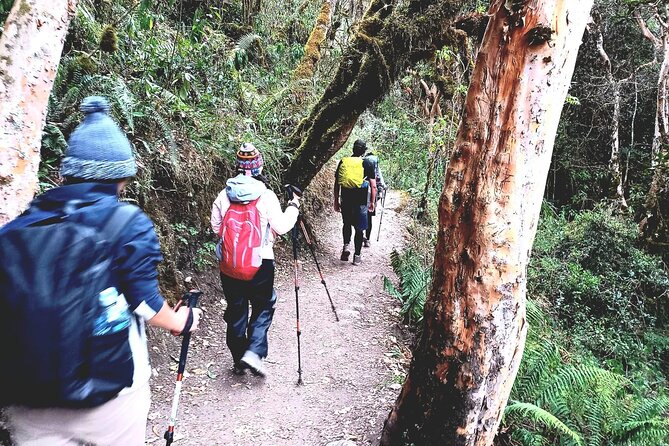 2 Days and 1 Night Short Inca Trail to Machu Picchu - Customer Reviews