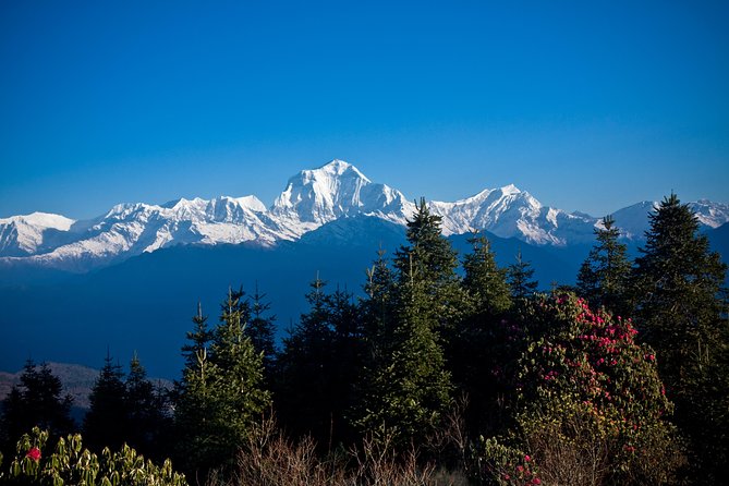 2 Days Australian Camp Trek From Pokhara - Highlights of the Australian Camp Trek