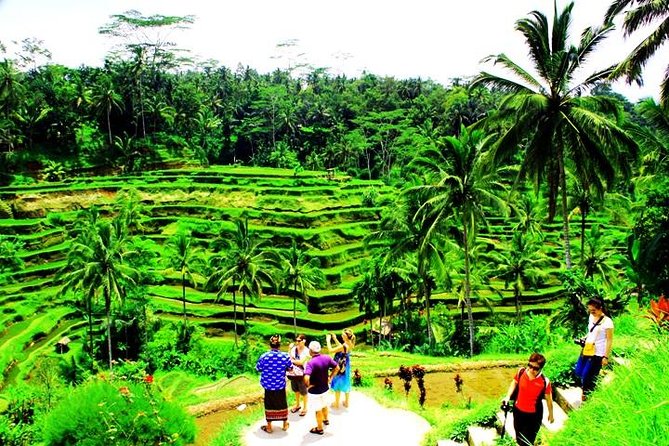 2 Days Best of Bali Famous Tour Packages - Natural Wonders and Landscapes