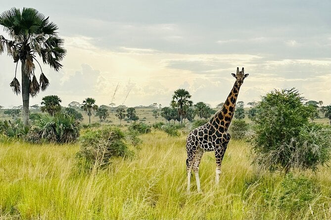 2 Days Budget Safari to Murchison Falls National Park - What to Bring