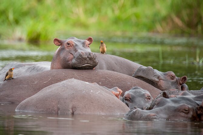 2 Days Budget Safari to Murchison Falls National Park - Safety and Accessibility