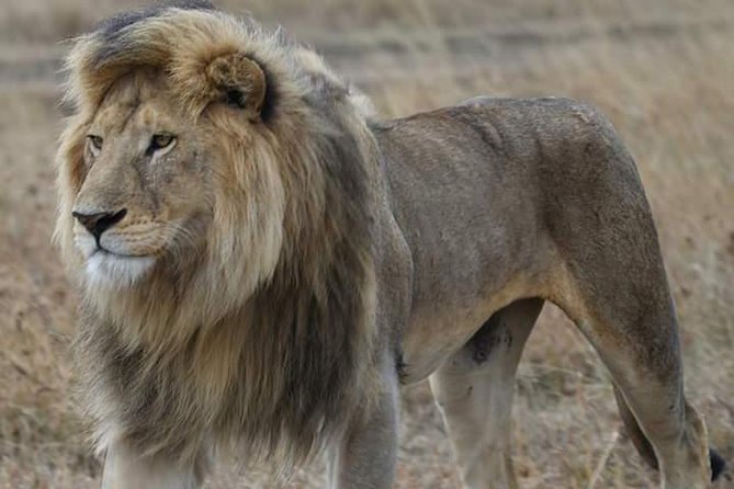 2 Days Camping Safari, Lake Manyara & Ngorongoro Crater - Inclusions
