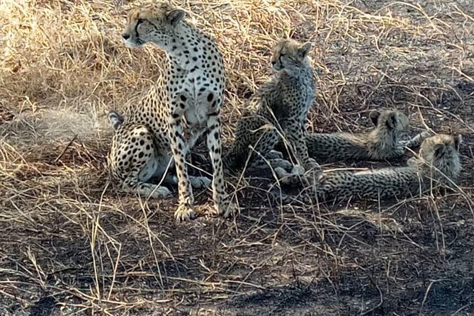 2 Days Camping Safari, Lake Manyara & Ngorongoro Crater - Tour Operator