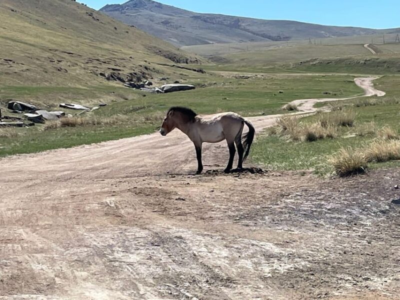 2 Days Central Travelling Mongolia - Inclusions