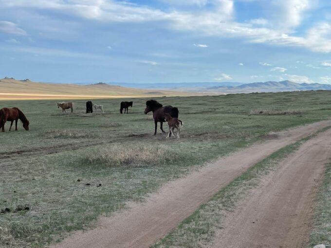 2 Days Central Travelling Mongolia - Frequently Asked Questions