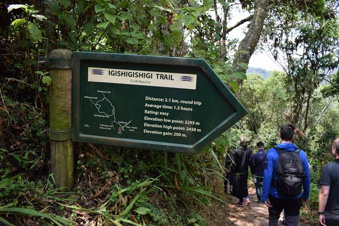 2 Days Chimpanzees Trekking Tour and Canopy Walk Adventure - Chimpanzees Trekking Experience