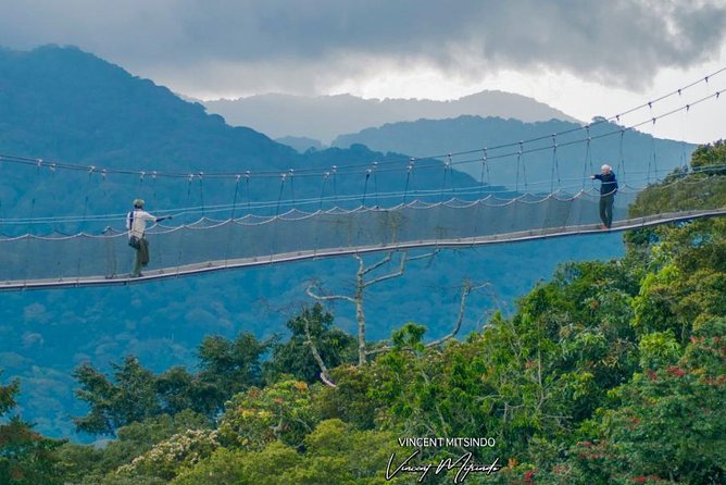 2 Days Chimpanzees Trekking Tour and Canopy Walk Adventure - Transportation and Guides